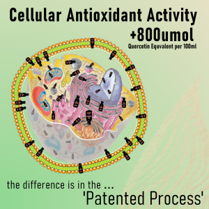 Cellular Antioxidant Activity